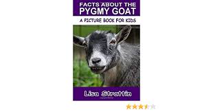 Funny peeking pygmy goat and pygmy goat in christmas hat svg file. Facts About The Pygmy Goat A Picture Book For Kids Band 144 Amazon De Strattin Lisa Fremdsprachige Bucher