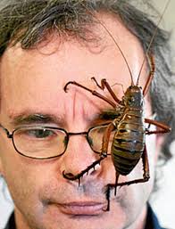 Icepice Blogspot Com Scary Bugs Biggest Insect Insects