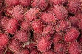 The Best Tropical Fruits Of Costa Rica Javi S Travel Blog Go Visit Costa Rica
