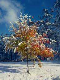 Once upon a time, in an effort to clear space on my drive, i was sorting through a collection of forgotten videos. Fall Vs Winter By Dunskap On Deviantart