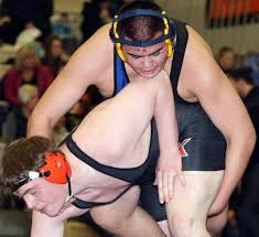 Cougars, Wolves crown regional wrestling champions