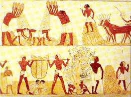 Resultado de imagen de pinturas de campesinos  egipcios