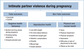 Image result for Partner Violence Screen