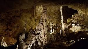 The zip line and ropes course is a blast for all. Canopy Challenge Zip Lines Birthday Party Fun Review Of Natural Bridge Caverns San Antonio Tx Tripadvisor