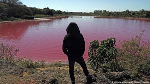 Paraguay Laguna Cambia De Color Tras Contaminacion Por Desechos Las Noticias Y Analisis Mas Importantes En America Latina Dw 23 08 2020