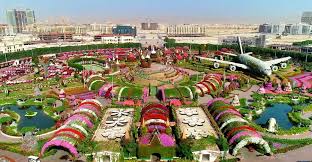 A beautiful fountain and rock garden, doodh talai musical garden is amongst the top attractions in udaipur. Dubai Miracle Garden Reopens For Its 7th Season Desert Safari Dubai Alishba Tours