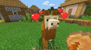 How do guinea pigs make offspring? How To Tame And Ride A Llama In Minecraft Youtube