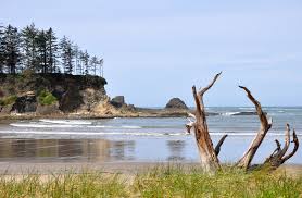 Maybe you would like to learn more about one of these? Sunset Bay State Park Wikipedia