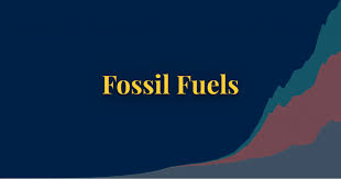 Many companies underestimate how much time and money it takes to be successful with seo. Fossil Fuels Our World In Data