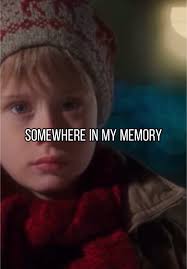 Somewhere in My Memory: Iconic Home Alone 2 Tribute