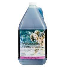 12775 rue brault (j a bombardier & rue lapointe) mirabel qc j7j 0c4 канада. Go Trevi Trevi