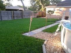 •20% played bowls regularly on a synthetic surface as well as turf greens. Does Anyone Have A Bahia Grass Lawn