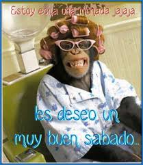 Buenos días con café, ☕imagenes de buenos dias. 75 Mejores Frases De Feliz Sabado En Imagenes 2020