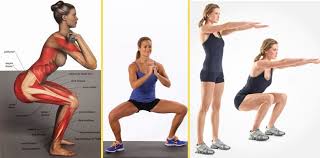 Image result for squats