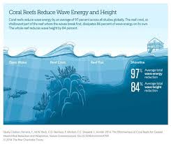 Pin By Stig Zw On Ocean Conservation Coral Reef Climate Change Marine Biology