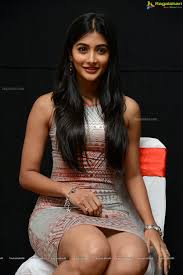 Image result for pooja hegde hot photoshoot