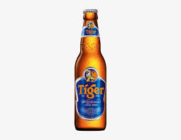 tiger beer bottle png tiger beer transparent png 312x559 free download on nicepng tiger beer bottle png tiger beer