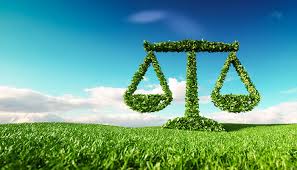 Environmental law is a complex combination of state, federal, and international treaty law pertaining to issues of concern to the environment and protecting in the united states, the chief government agency for administering environmental regulations is the environmental protection agency. Why Do We Need To Study Environmental Law Ipleaders