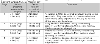 There are five stages of kidney disease. Pdf Chronic Kidney Disease Ckd In Dogs Cats Staging And Management Strategies Semantic Scholar