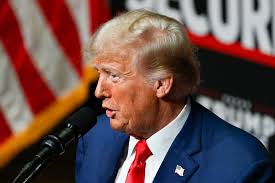 Trump's RNC Is Backing Georgia Republicans' Voter Purge in Court