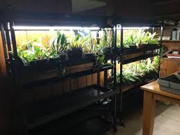 Cannabis light cycles outdoors spring equinox, summer solstice. Ask A Question Forum Growing Flowers With Led Lights Garden Org