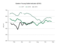 beef eyci beef eyci price and charts top commodities