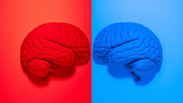 Qué quieren decir los términos ultraizquierda y ultraderecha (y cómo se usan en la actualidad) - BBC News Mundo