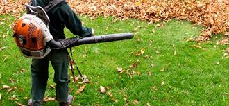 Arger Im Garten Laub Lass Nach Help Orf At