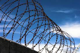 We did not find results for: What Is An Electric Fence With Pictures