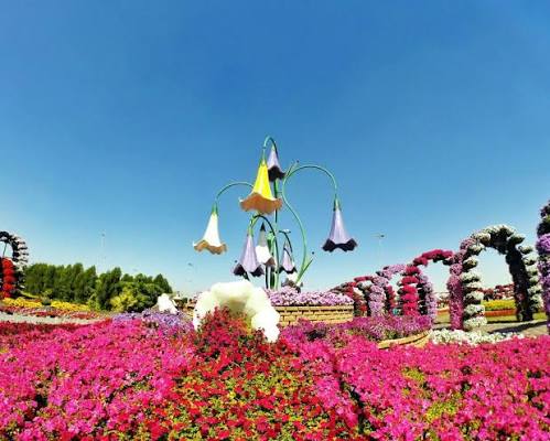 5D4N Dalat + Mui Ne + Ho Chi Minh