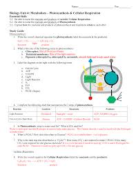 Photosynthesis involves plants using the reactants carbon dioxide. Photosynthesis And Respiration Study Guide