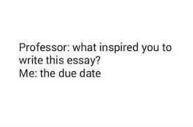 I Understand This On A Spiritual Level School Humor College Quotes Student Humor