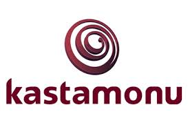 One of the two big multinational companies of hayat holding, was established kastamonu entegre which is working in line with its vision of becoming a global player. Premium Quality Wood Door Model Name Dl104 Zeugma Product Info Tragate