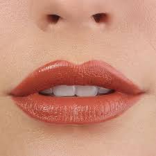 Terra Cotta In 2020 Lippenstift Weiche Lippen Und Lippen
