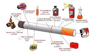 SMOKING : A MAJOR CAUSE OF LUNG CANCER | Wisdom Jobs India