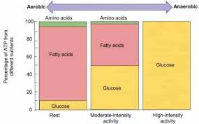 We did not find results for: Three Ways To Balance Carbohydrate And Fat As Fuel Laptrinhx News