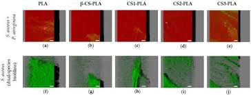 Maybe you would like to learn more about one of these? Molecules July 2 2021 Browse Articles