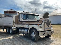 Image result for White 1987 UMM