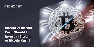 Personally, i sit most of the time between 15% and 50%. Bitcoin Vs Bitcoin Cash Which One Is The Better Investment Primexbt
