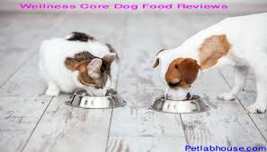 Top 7 Wellness Core Dog Food Reviews Advice