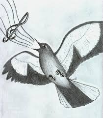 Image result for mockingbird