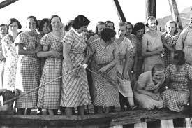 Image result for Indigoblaa 1986 Sado Denmark