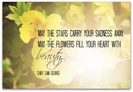 We did not find results for: Quotes About Funeral Flowers 25 Quotes