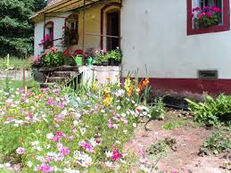 Nutze jetzt die einfache immobiliensuche! Verkauf Ehemalige Muhle Anwesen In Rheinland Pfalz Im Lk Kaiserslautern Zwischen Homburg Und Landstuhl Absolute Alleinlage In Einem Stillen Tal