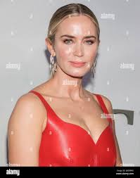 A red rose for emily hi-res stock photography and images