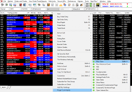 How To Check Intraday Charts On Nest Trader Nest Plus Chart