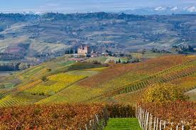 Take a tour and learn about the history of the castle, as well as local wine making. Castello Di Grinzane Cavour Home Facebook