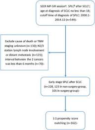 Learn about the common signs and symptoms of lung cancer such as a worsening cough, loss of appetite, or sometimes these syndromes may be the first symptoms of lung cancer. Second Primary Non Small Cell Lung Cancer List Of Frontiers Open Access Articles