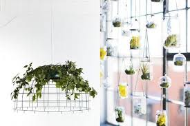 We did not find results for: Pin En Naturaleza Para El Hogar