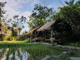 Warung rawon bak ati 1. The Waroeng Bondowoso Restaurant Reviews Photos Phone Number Tripadvisor